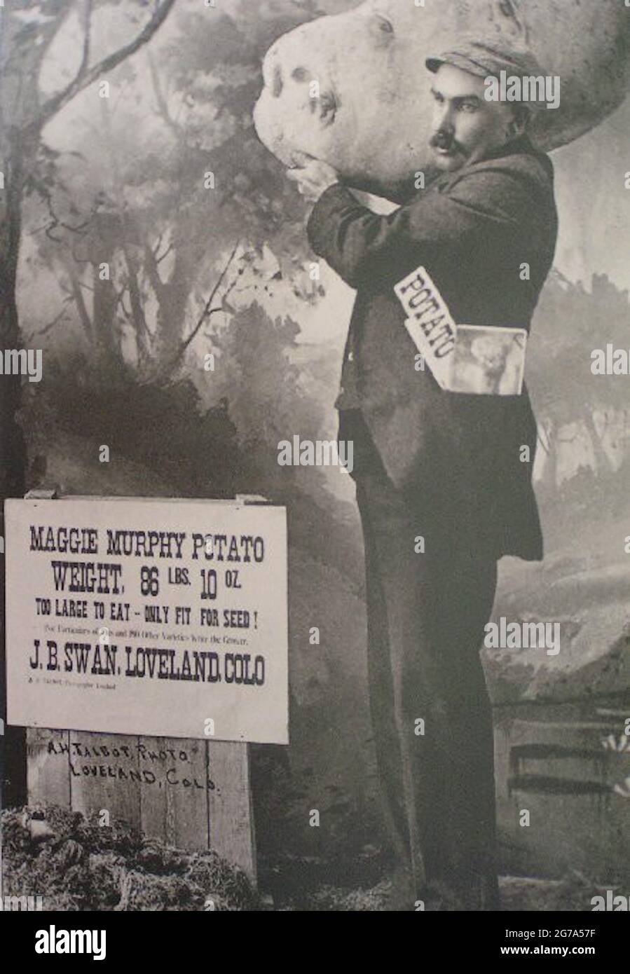 An image displaying Joseph B. Swan holding the Maggie Murphy. Stock Photo