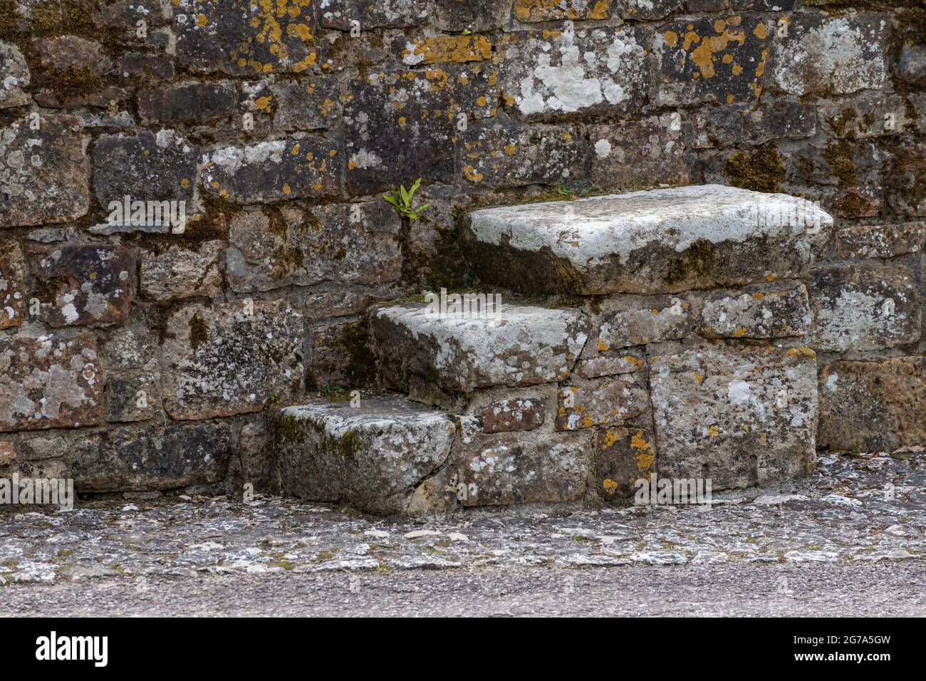 old weathered horse riding mounting block set against an an wall in a courtyard Stock Photo