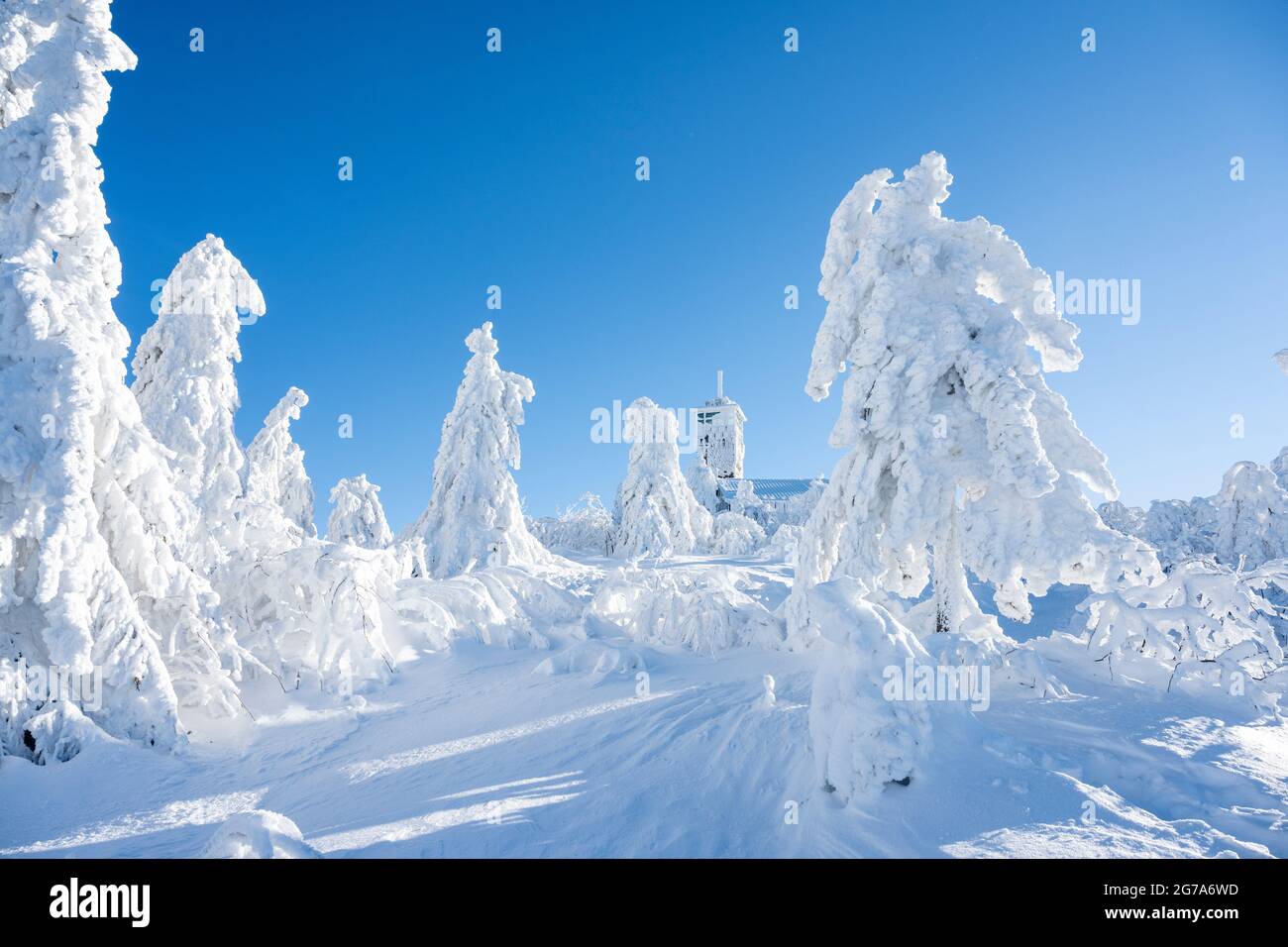 Germany, Baden-Wuerttemberg, Black Forest, Hornisgrinde, winter fairy