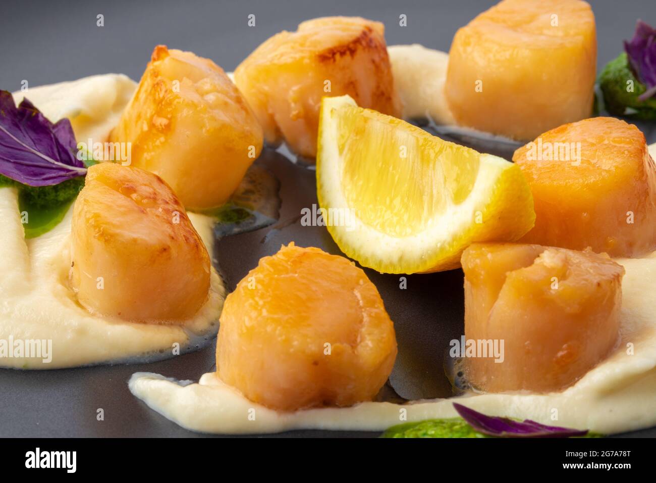 Scallops in creamy sauce on black plate Stock Photo