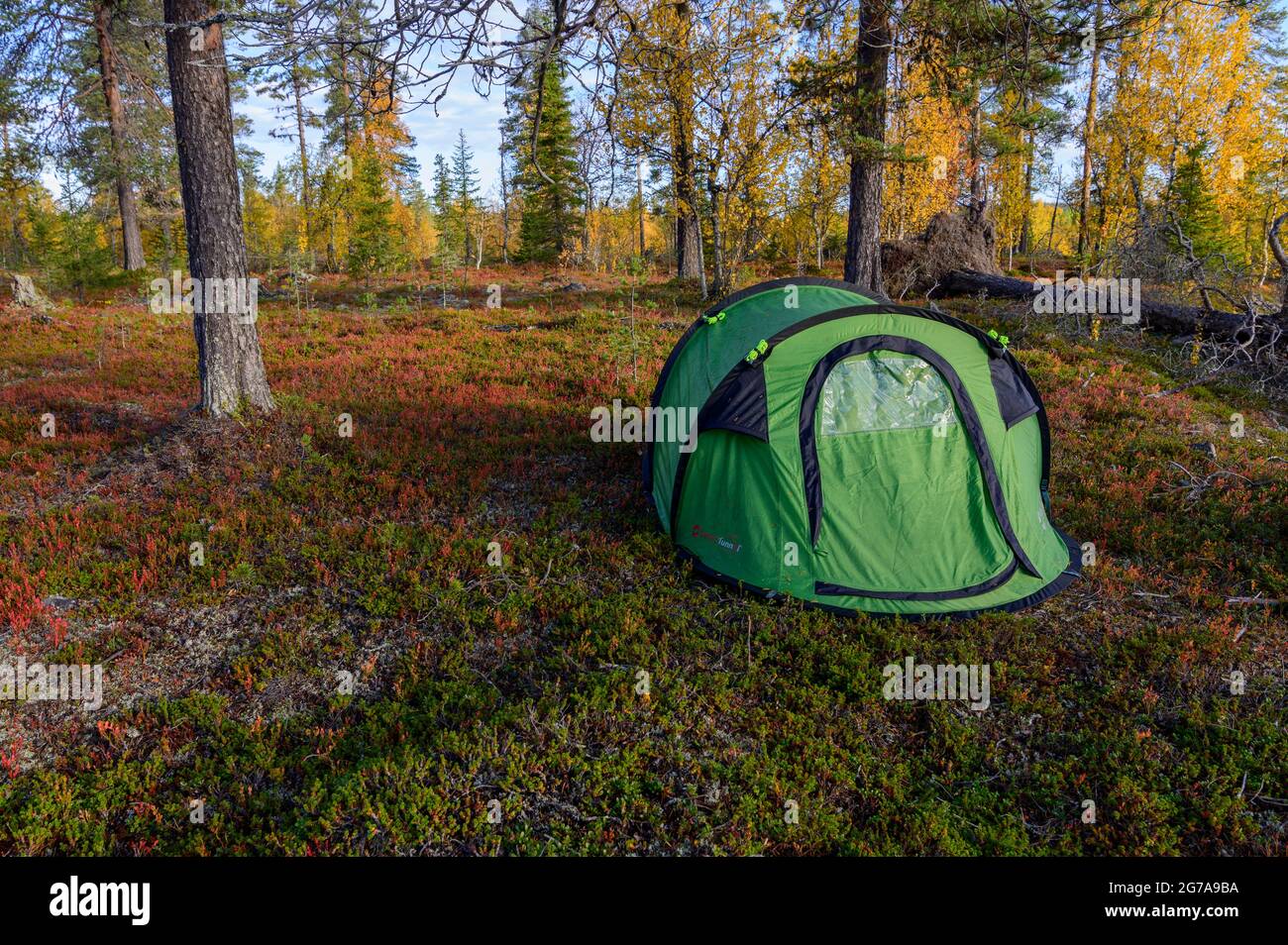 Small tourist tent in an autumn forest in Muddus National Park, Sweden Stock Photo