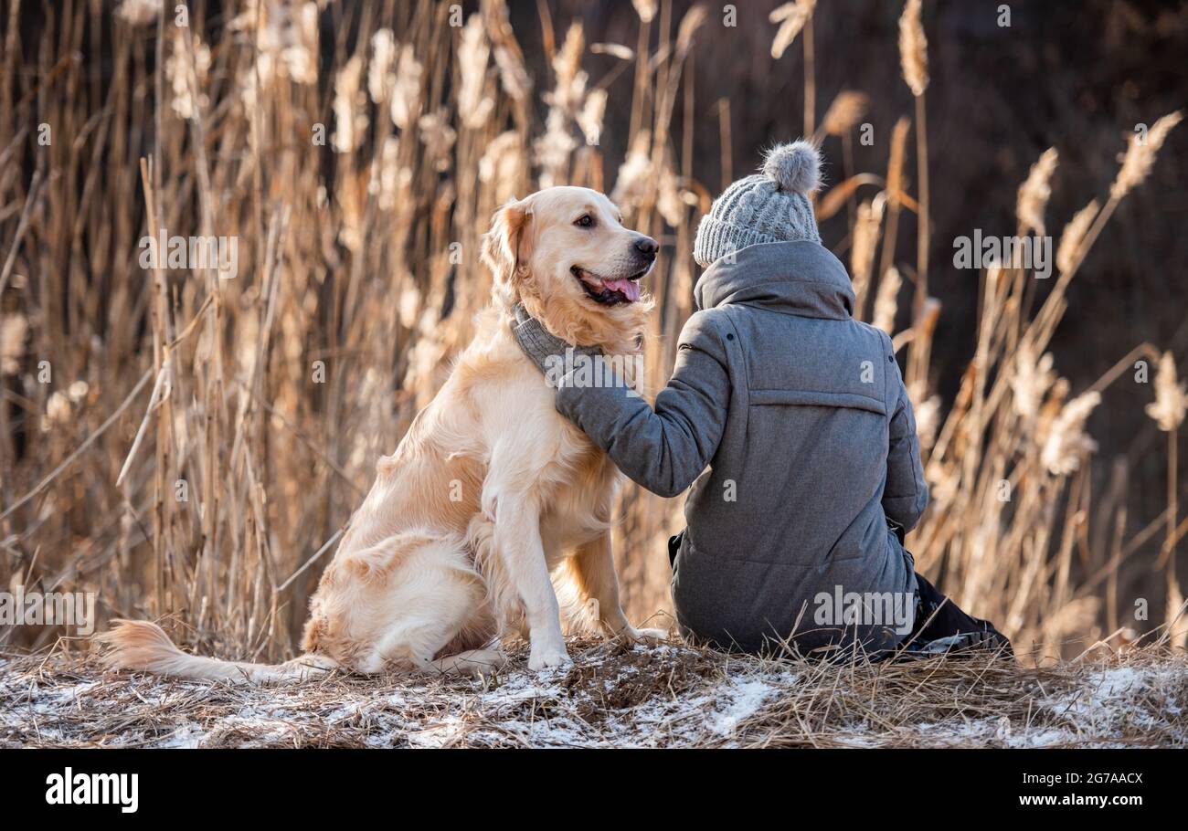 Golden retriever dog with woman Stock Photo - Alamy