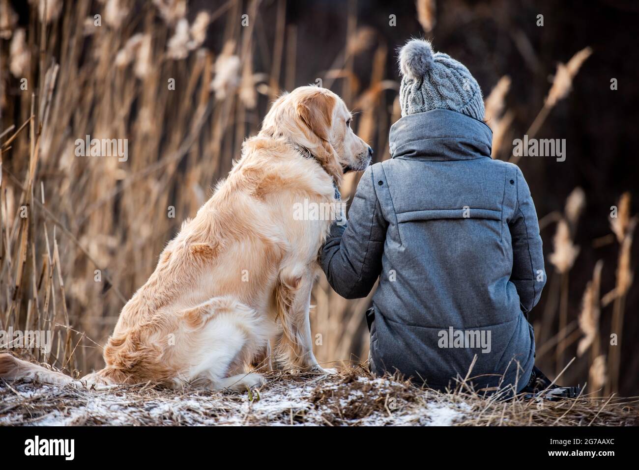 Golden retriever dog with woman Stock Photo - Alamy