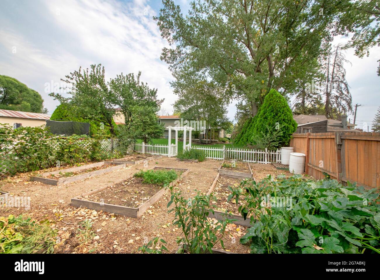 Backyard of a property with a garden in it and a white fence Stock ...