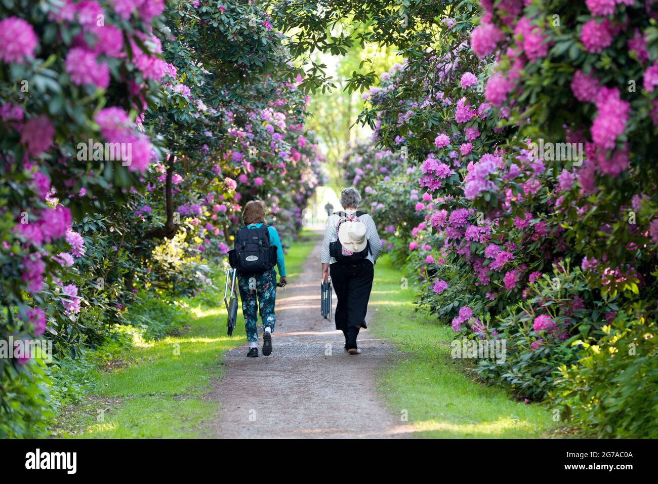Hagenburg hi-res stock photography and images - Alamy