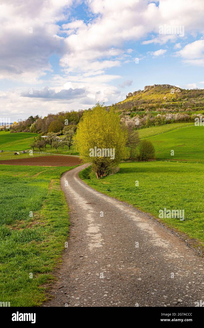 View of the Walberla near Ebermannstadt at the cherry blossom time in the afternoon, Upper Franconia, Bavaria, Germany Stock Photo