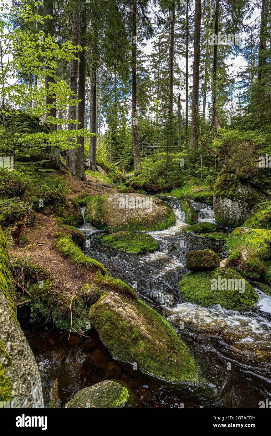 The course of the White Main at Bischofsgrün in the Fichtel Mountains, Upper Franconia, Bavaria, Germany Stock Photo