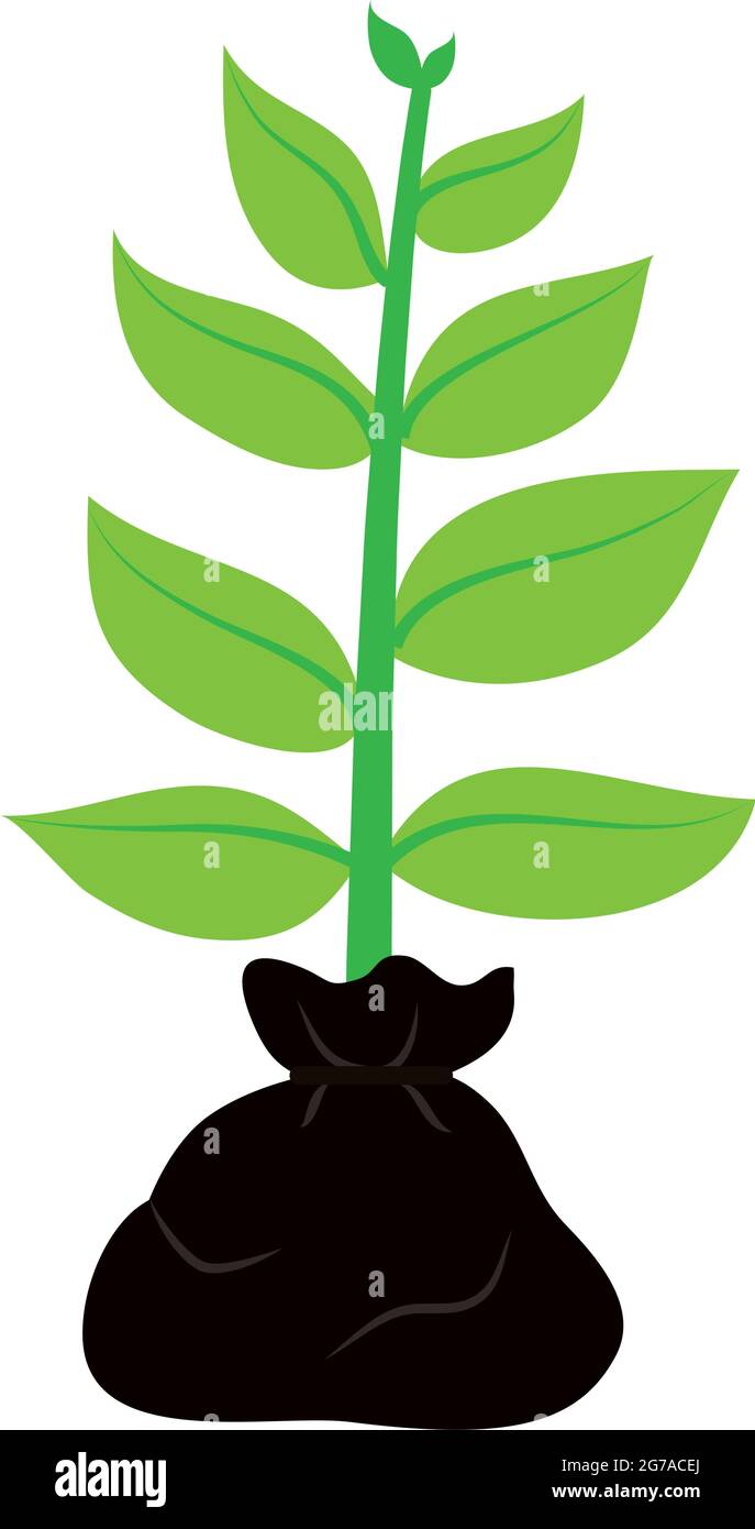 plant with soil in bag Stock Vector Image & Art - Alamy