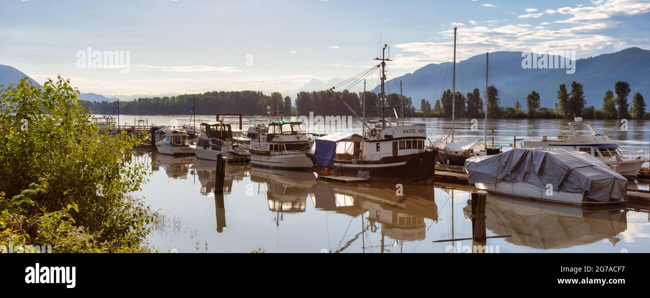 Boats parked at a dock in the River Stock Photo - Alamy