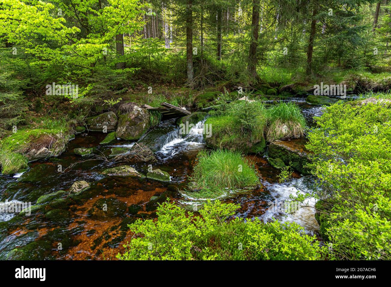 River Weißer Main near Bischofsgrün in the Fichtelgebirge, Upper Franconia, Bavaria, Germany Stock Photo