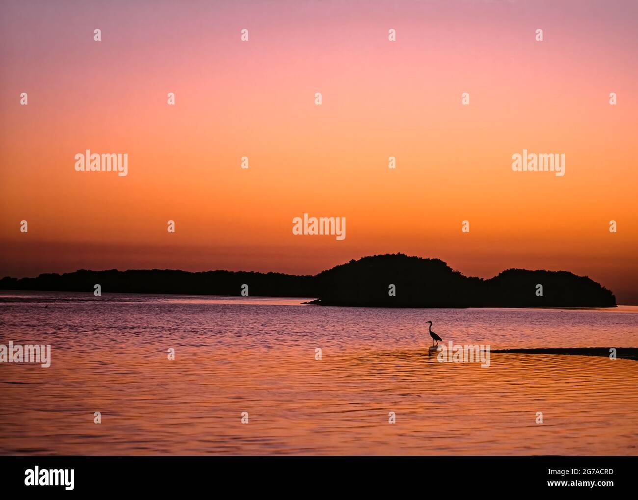 Sunset at The Everglades, Florida, USA, Stock Photo