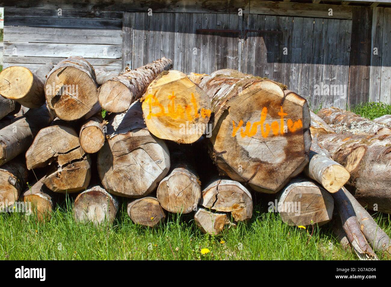 Wood storage area with tree trunks, inscription 'do not enter' Stock Photo