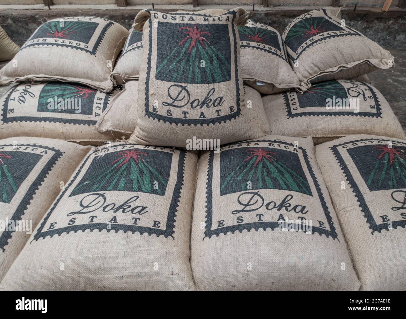 Bags of Costa Rican coffee beans ready for shipment. Stock Photo