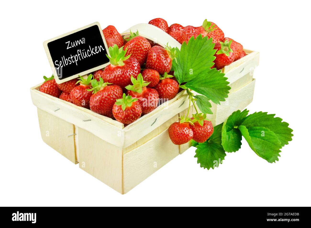 Fresh strawberries with German self picking label Stock Photo