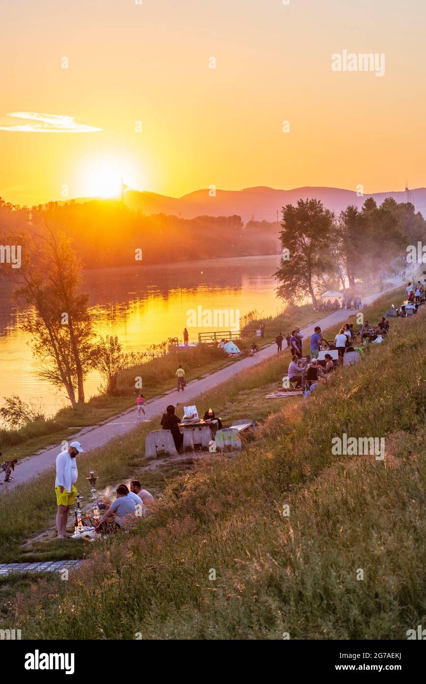 Vienna, sunset at river Neue Donau (New Danube), barbecue zone, people grill meat, view to North