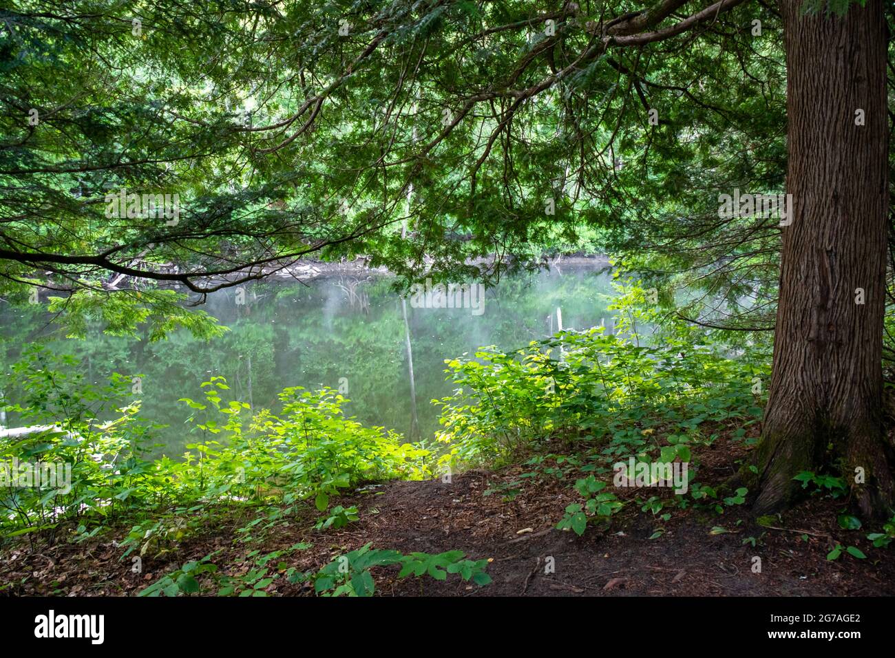 Egan Chutes Bancroft Ontario Canada in summer Stock Photo Alamy