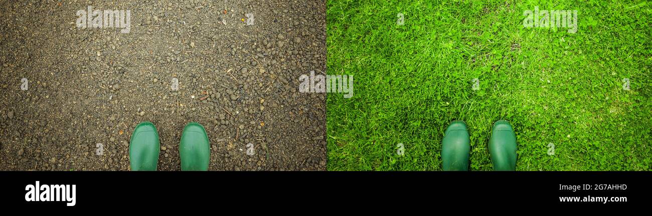 Sequence - growth of grass seeds in the garden Stock Photo