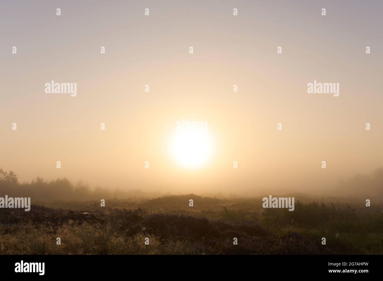 Europe, Denmark, North Jutland. Morning mist and the rising sun over the dunes of the east coast. Stock Photo