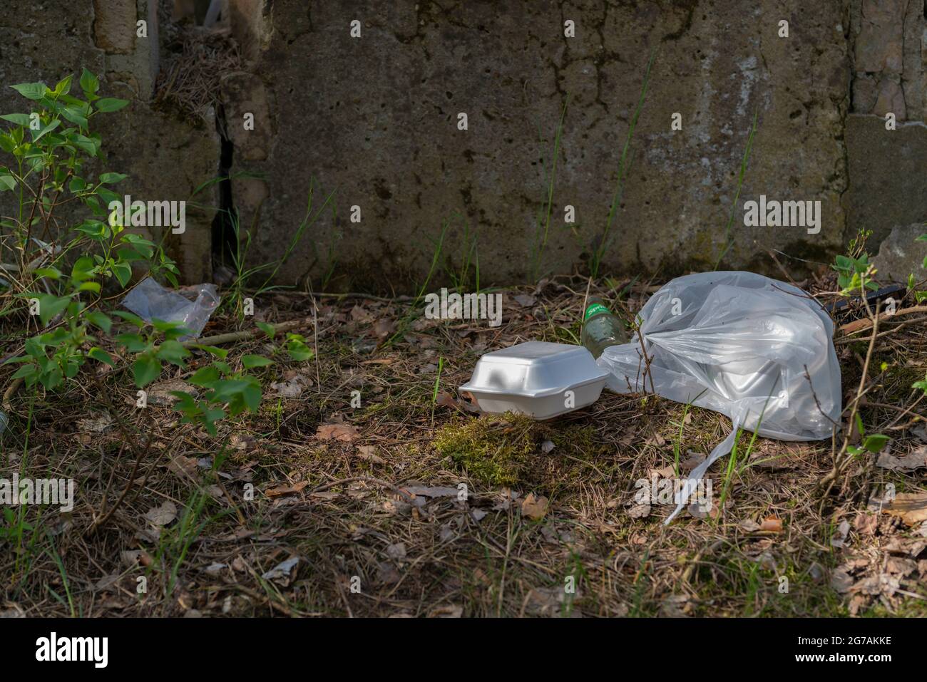 Discarded fast food packaging in the forest,  Illegally disposed of waste,  Damage to the environment and nature Stock Photo