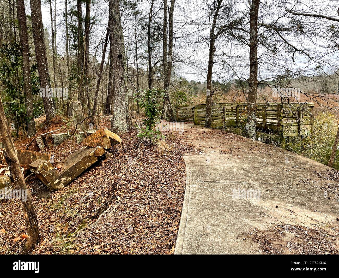 Brick ruins green moldy wooden deck with fall foliage in a forest in