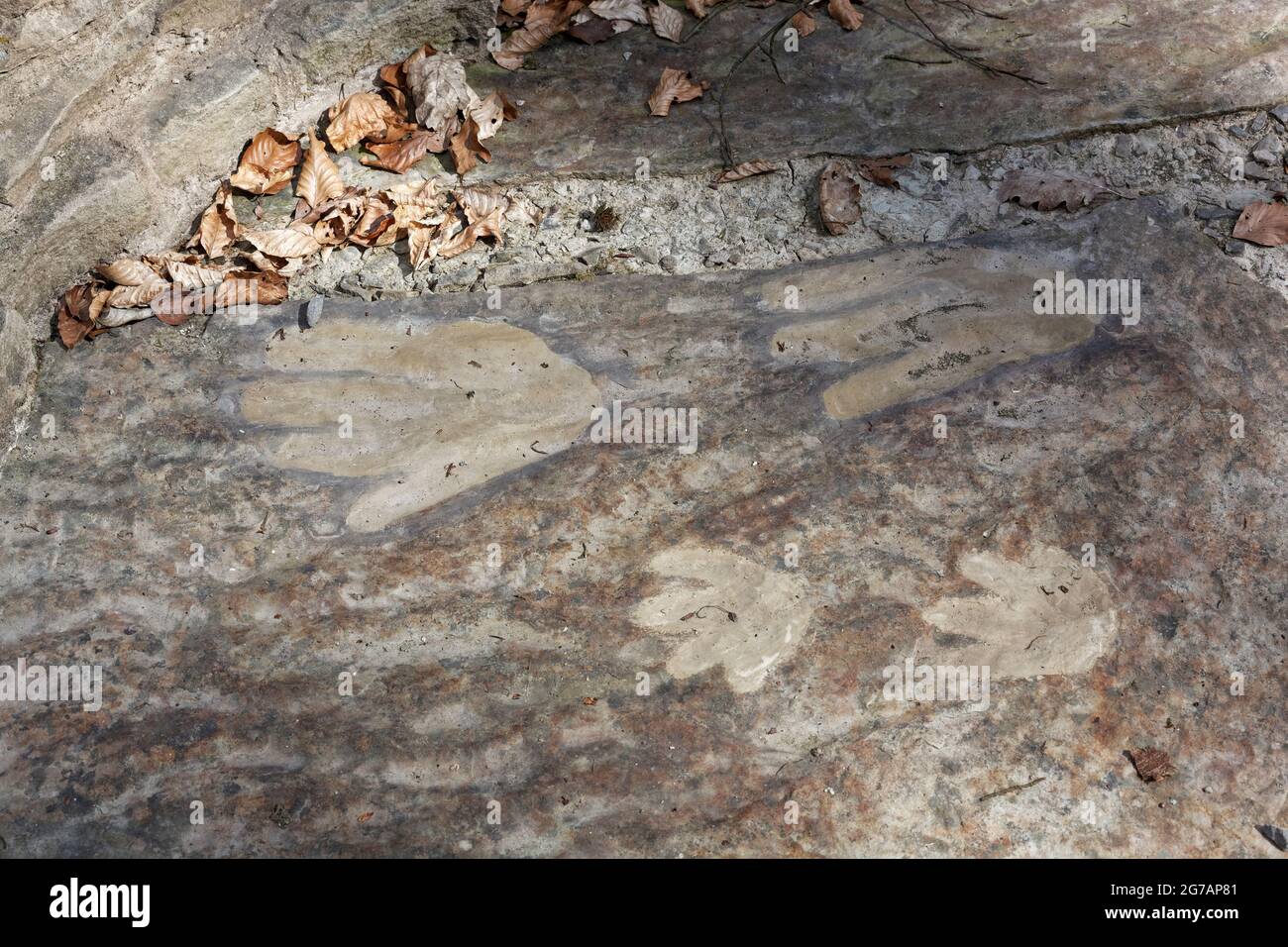 Geotope dinosaur tracks near Euerdorf, Bad Kissingen district, Lower Franconia, Bavaria, Franconia, Germany Stock Photo