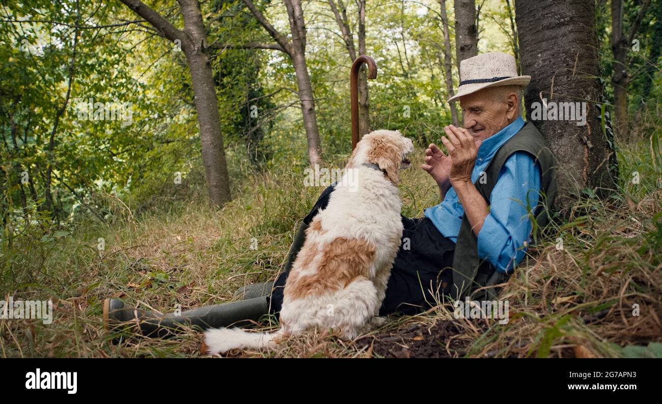 Truffle hunters 2020 hires stock photography and images Alamy