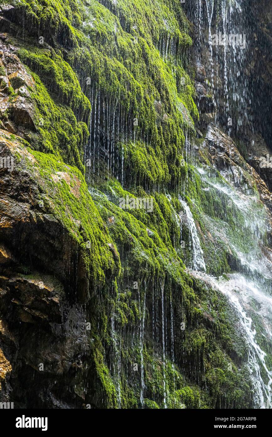 Waterfall over the moss-covered rock face in the Höllentalklamm, Grainau, Upper Bavaria, Germany Stock Photo