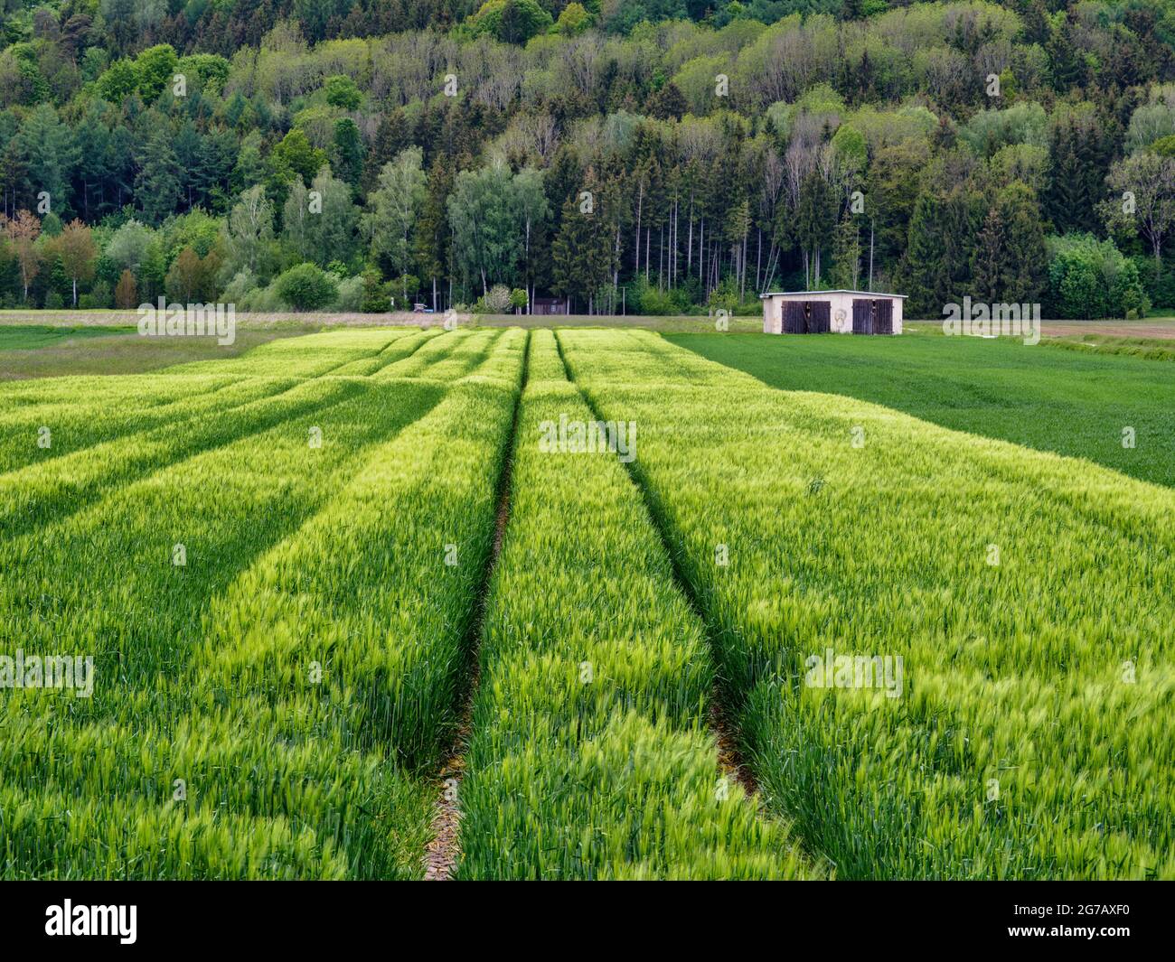 Field, arable land, grain field, forest, forest, nature park, agriculture, arable land, garage, lane Stock Photo