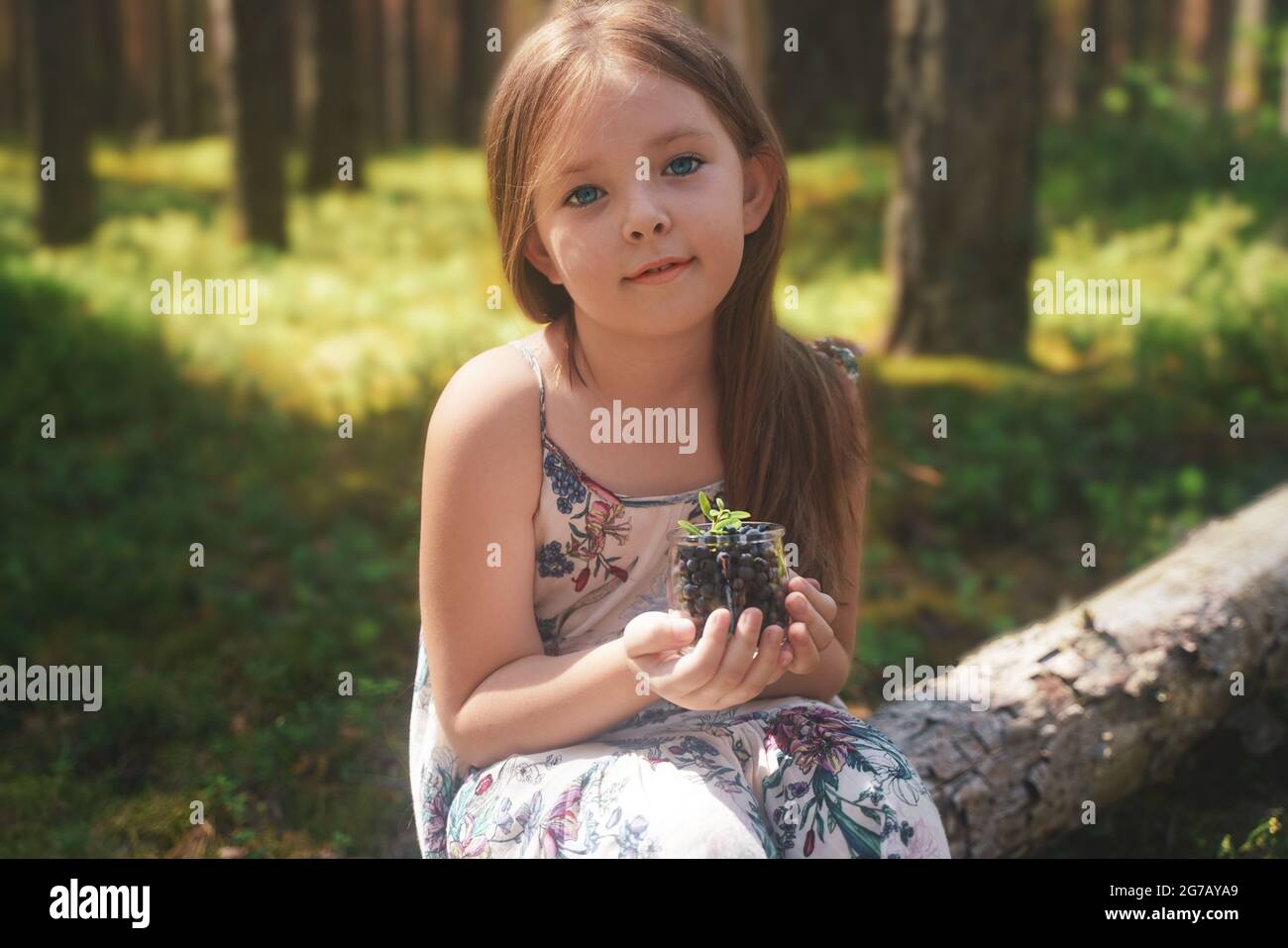 The girl collects forest blueberries in the summer. Healthy and healthy food. Improving brain function. High quality photo Stock Photo
