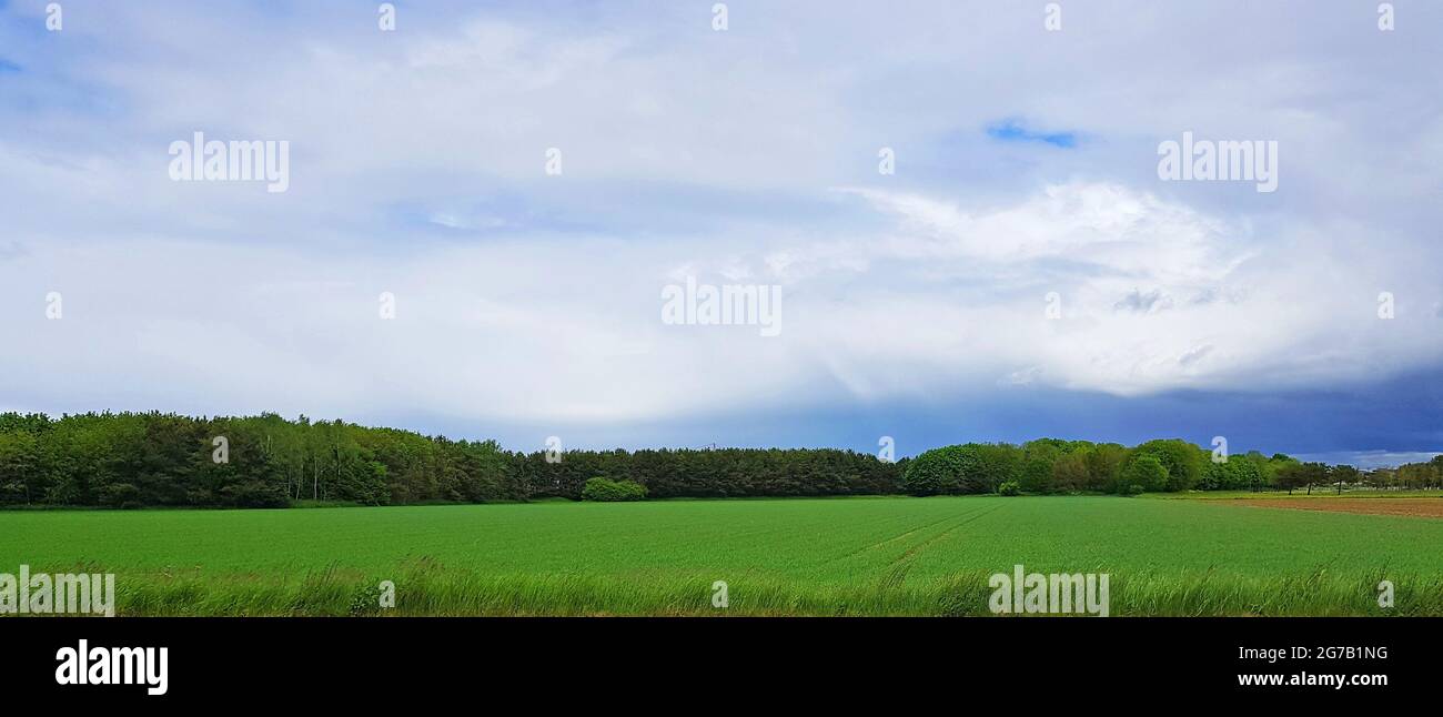Blue sky with clouds over green landscape Stock Photo