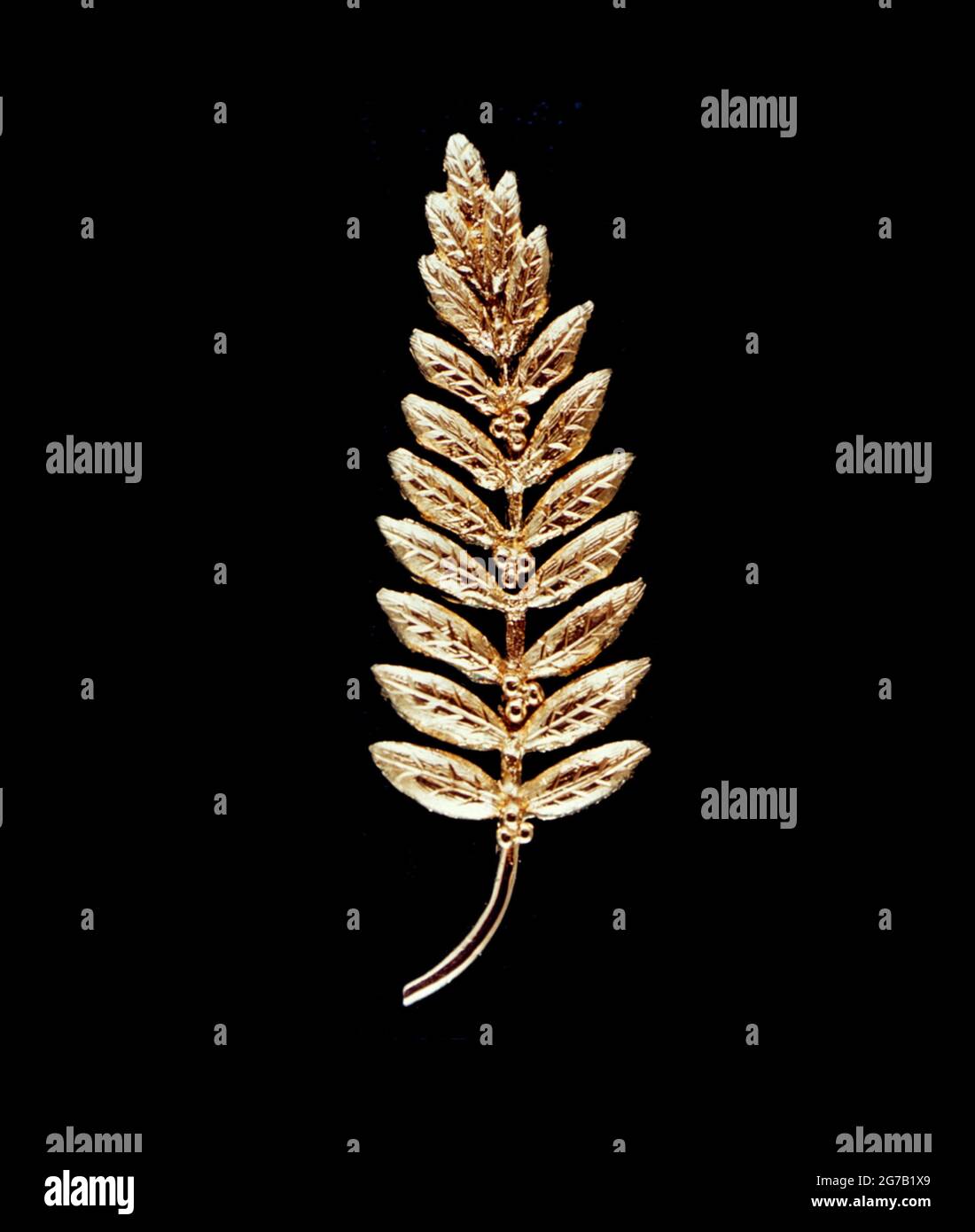 This is the gold replica of an olive branch, the traditional symbol of peace, left on the Moon's surface by Apollo 11 crewmembers. Astronaut Neil A. Armstrong, commander, placed the small replica (less than half a foot in length) on the Moon. The gesture represented a wish for peace for all mankind.  A unique, optimised and digitally enhanced version of an NASA image / credit NAS. Stock Photo