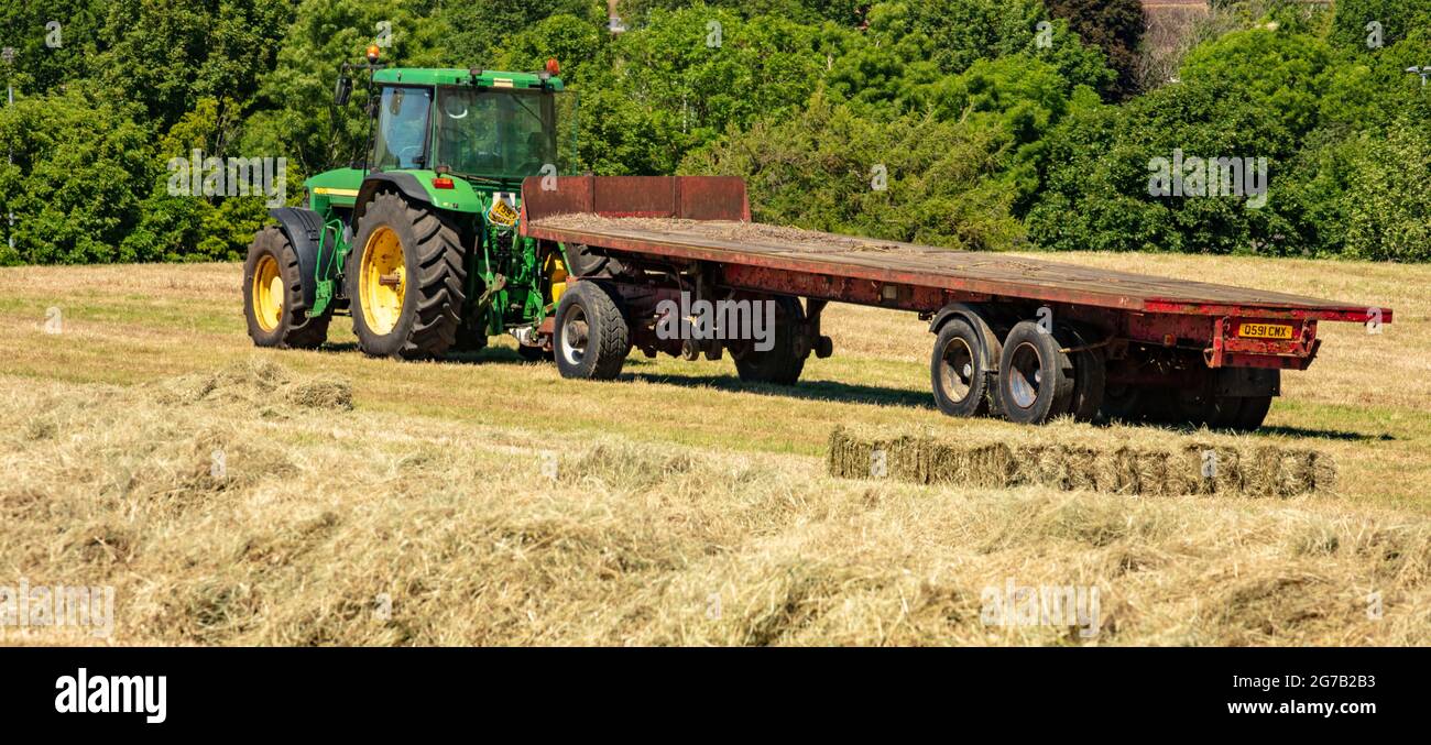 Haymaking with machines in a semi-urban farm, bright sunshine, blue sky ...
