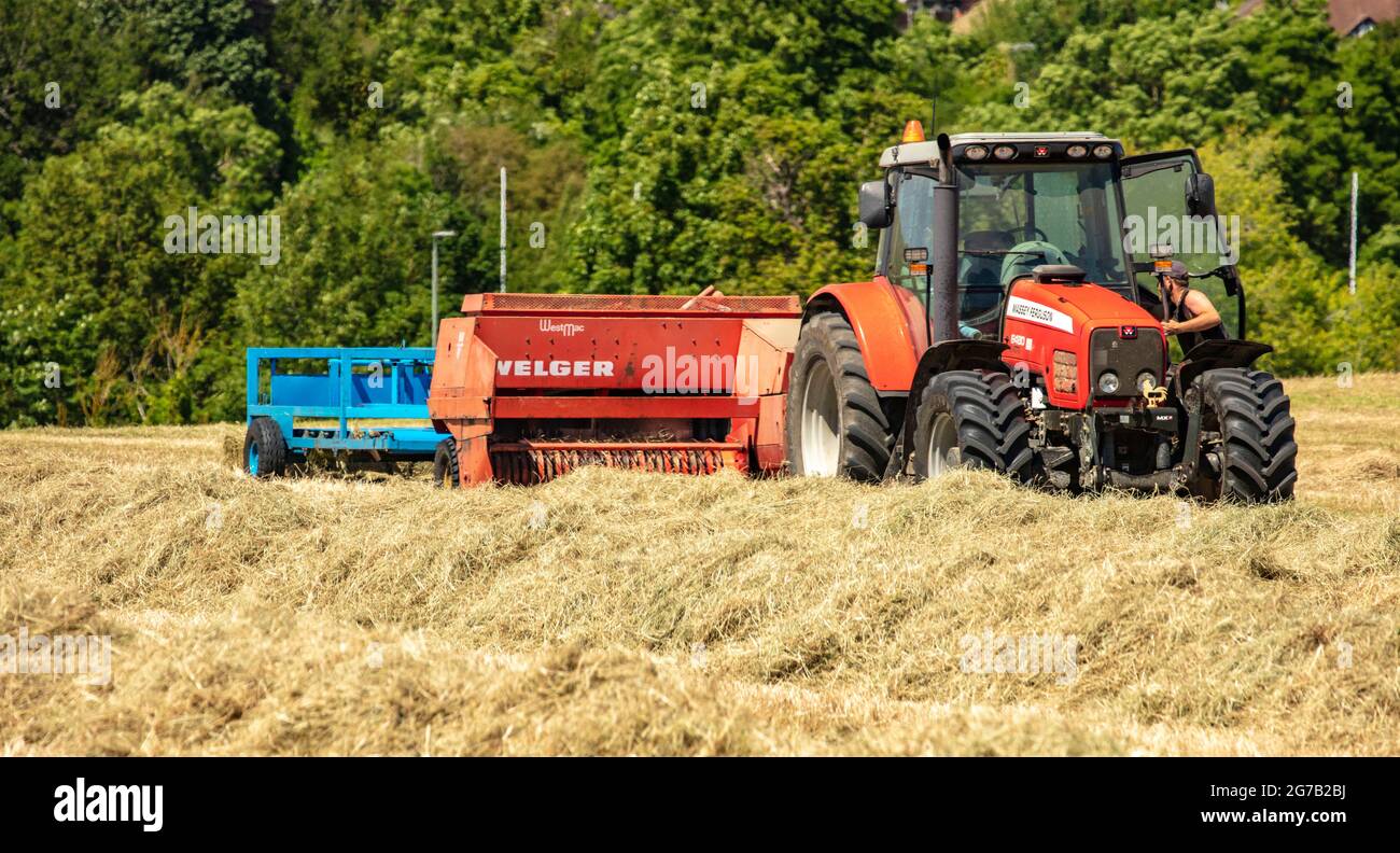 Haymaking with machines in a semi-urban farm, bright sunshine, blue sky ...