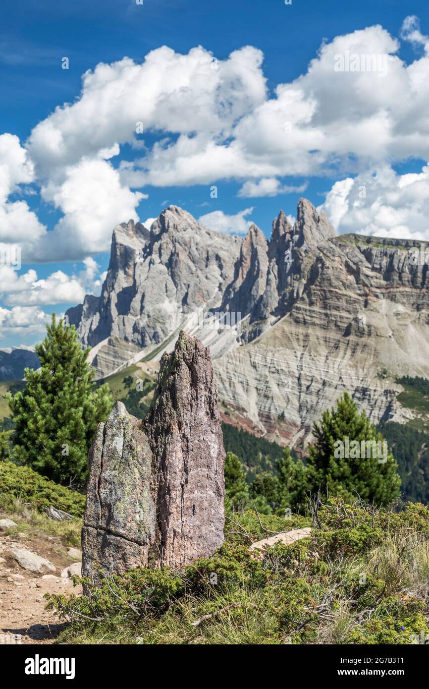 Rasciesa hi-res stock photography and images - Alamy