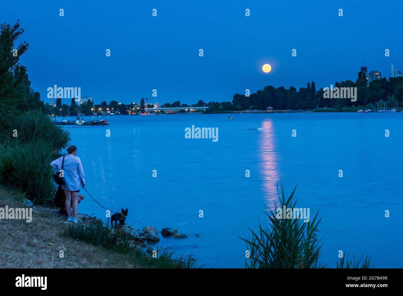 Vienna, full moon rises above river Alte Donau (Old Danube), couple with dog at the bank looking to the moon, view to bridge of subway line U1 in 22. Donaustadt, Wien, Austria Stock Photo