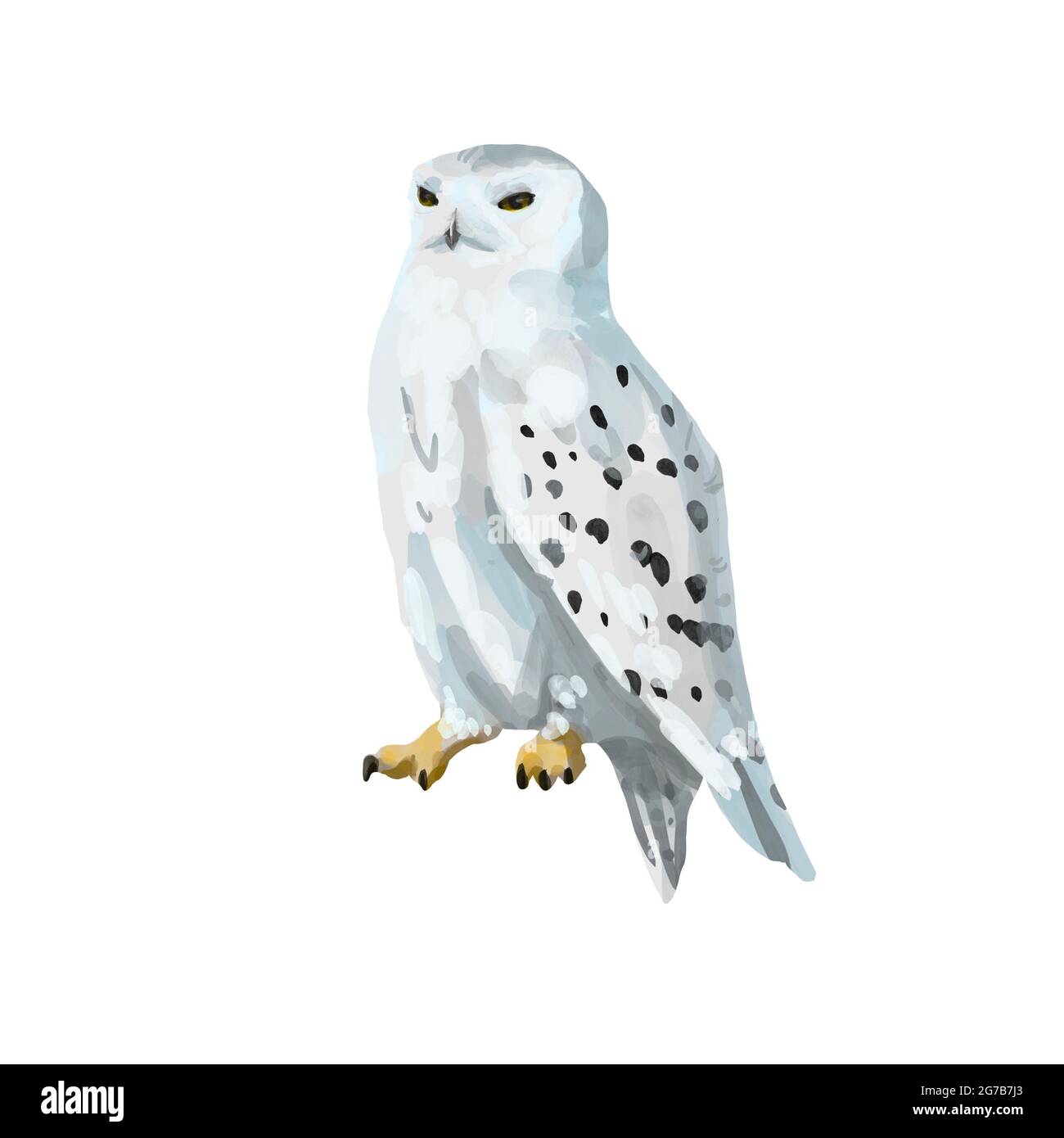 White plumage with brown spots Cut Out Stock Images & Pictures - Alamy