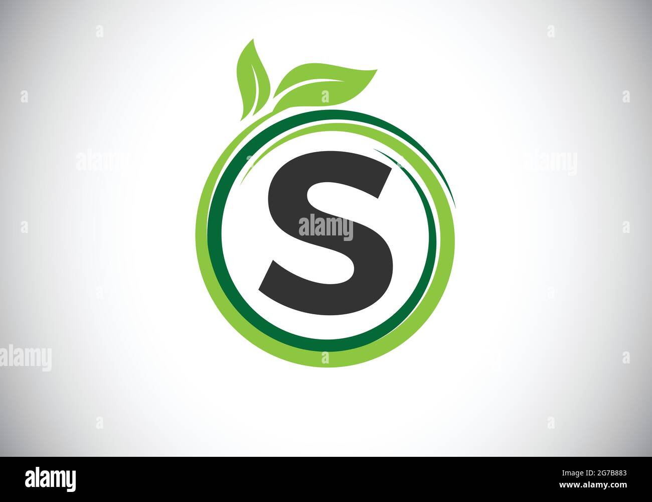 Initial S monogram letter alphabet in a spiral with green leaves. Font emblem. Nature icon sign symbol. Stock Vector