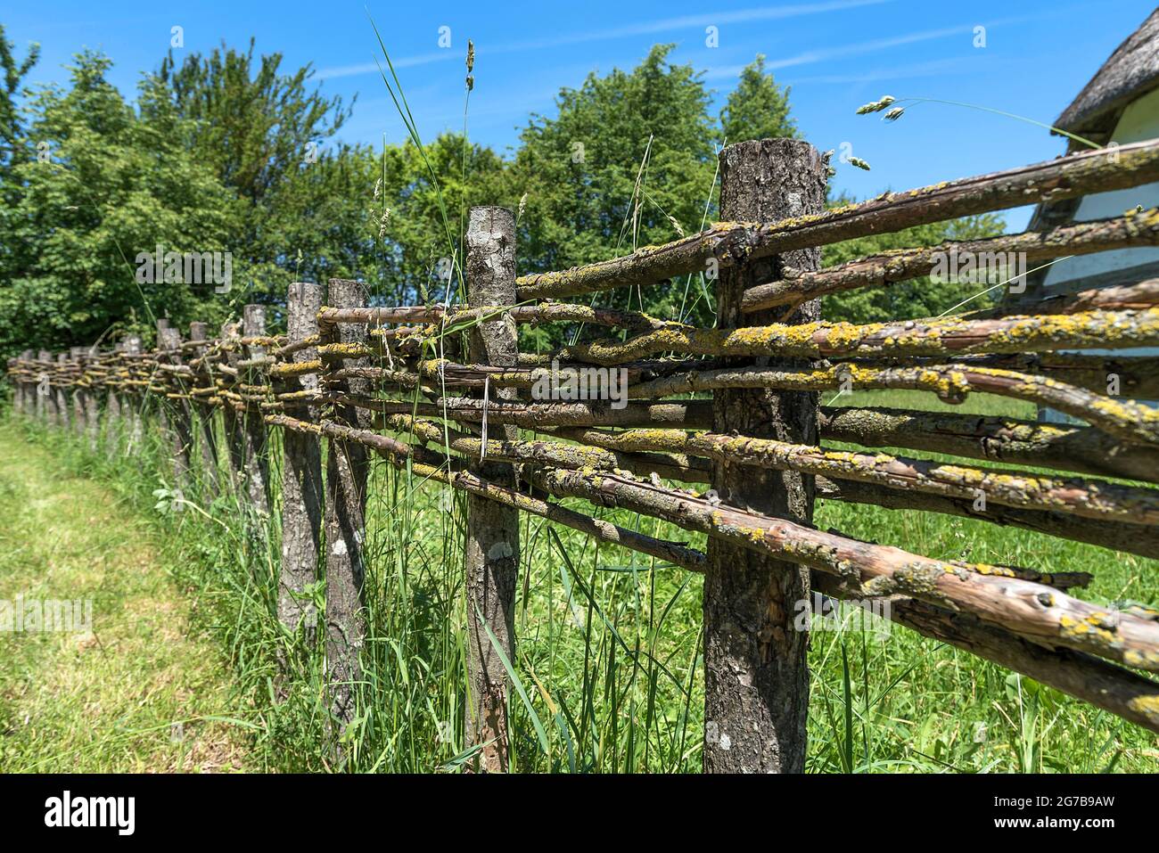 Branch fence hi-res stock photography and images - Alamy