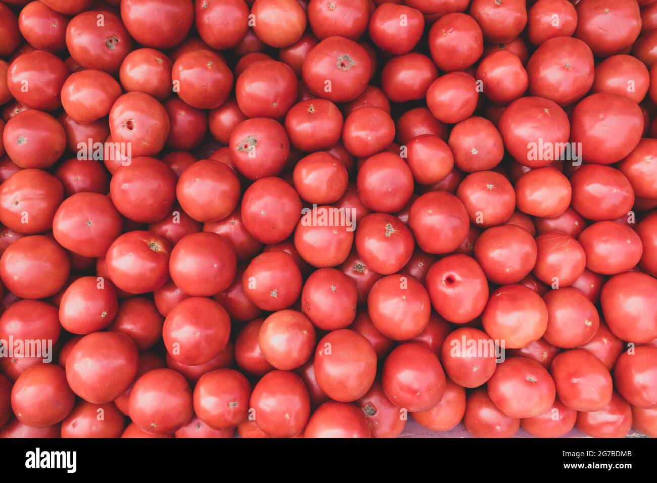Red ripe tomatoes in a flat pile for sale at a farmer's market Stock ...