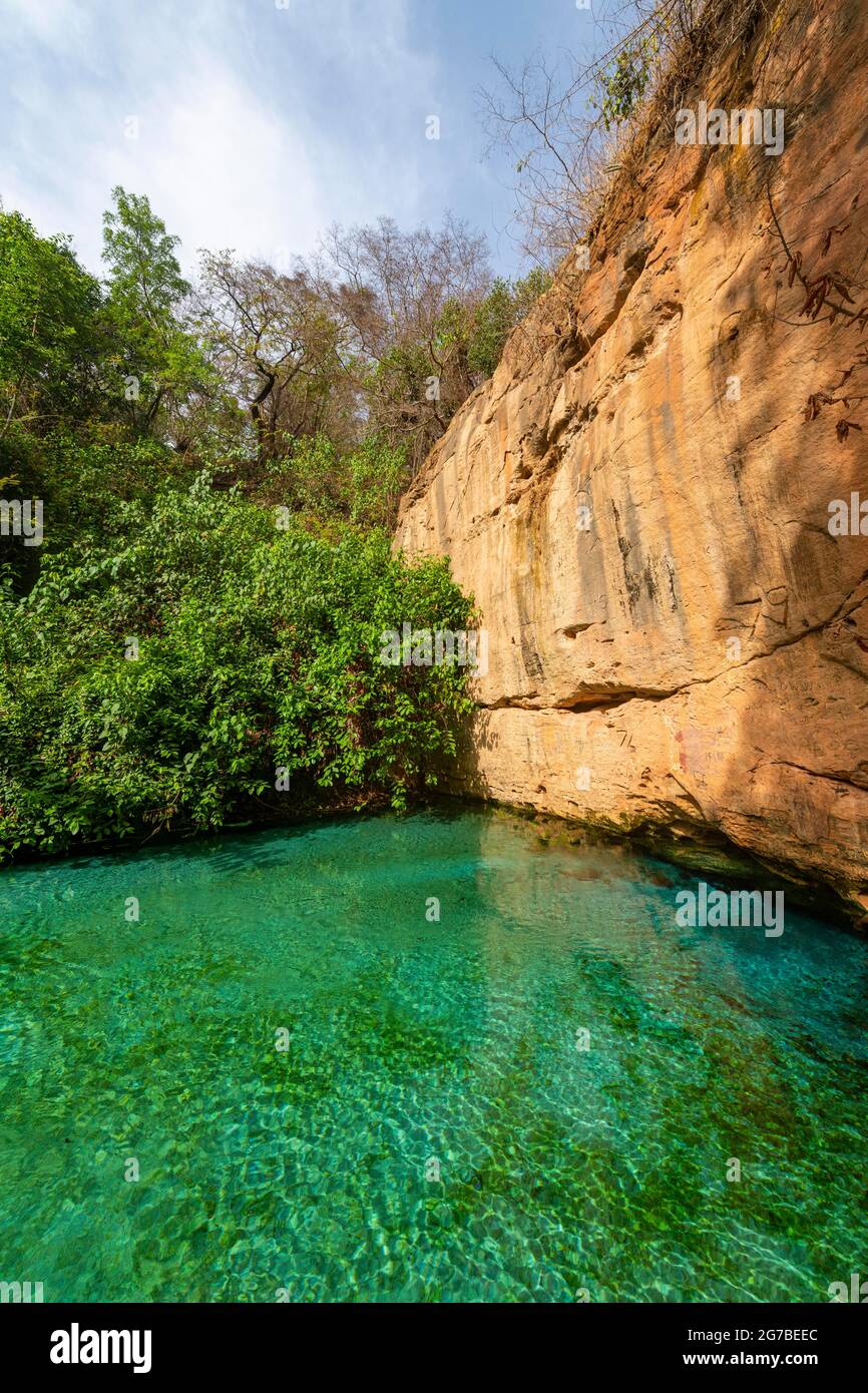 Turquoise Wikki warm springs, Yankari National Park, eastern Nigeria
