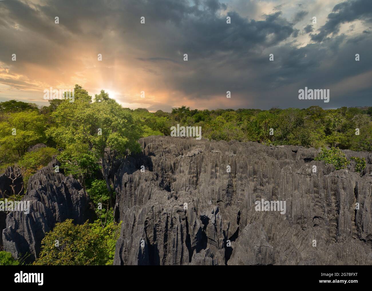 Needle stone rocks in the Tsingy de Bemaraha National Park in western ...