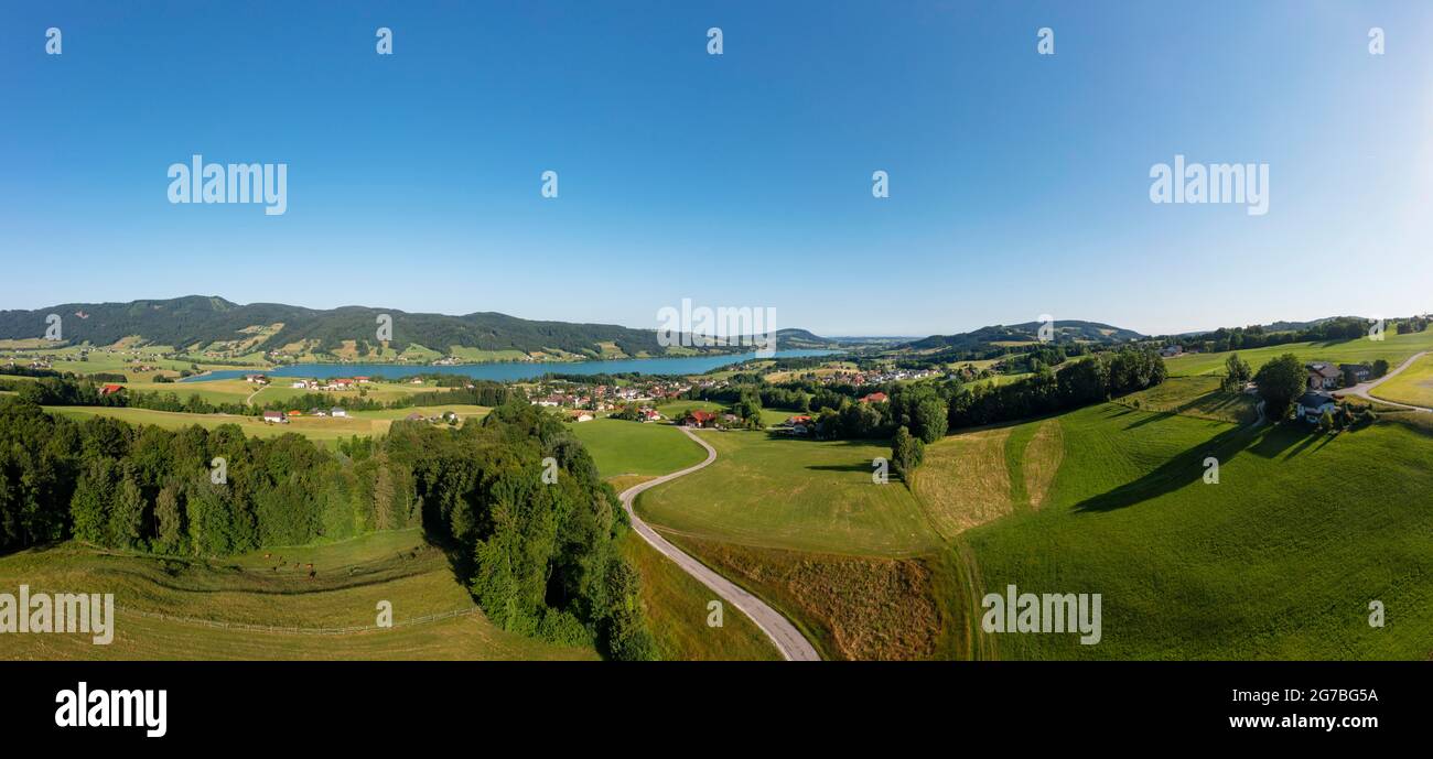 Drone image, agricultural landscape, Zell am Moos am Irrsee, Salzkammergut, Upper Austria, Austria Stock Photo