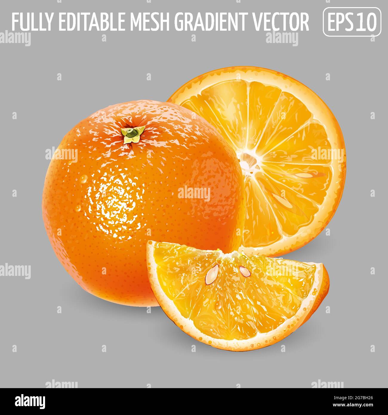 Whole orange with slices on a gray background. Stock Vector