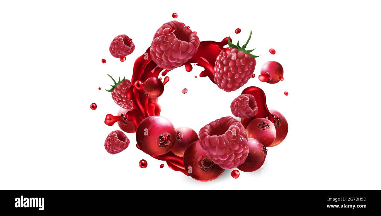 Cranberries and raspberries in a splash of red fruit juice. Stock Photo
