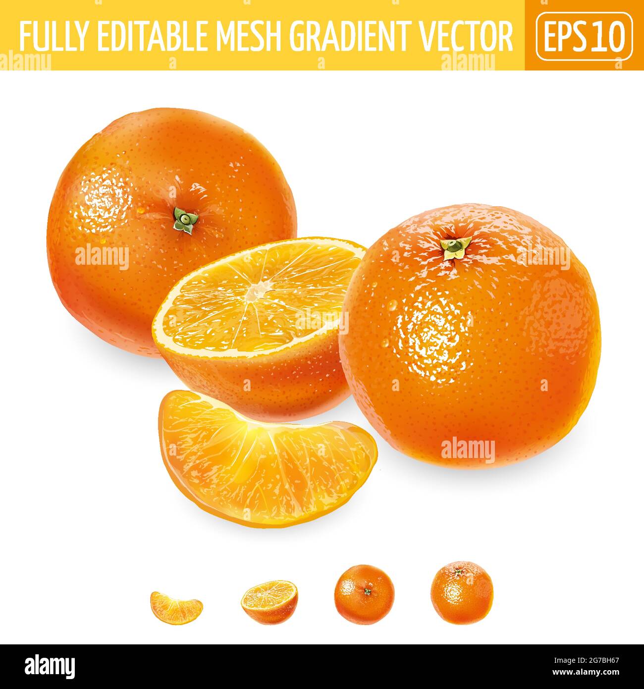 Whole sliced oranges Stock Vector Images - Alamy