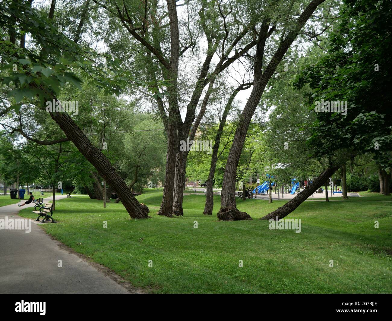 Path shade trees hires stock photography and images Alamy