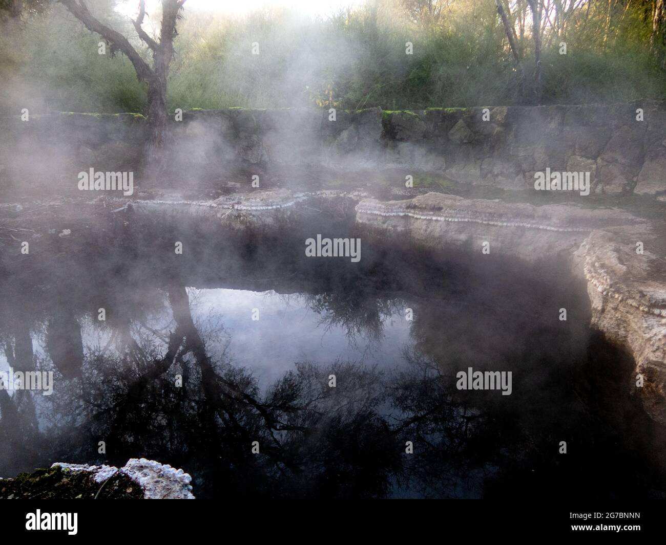Steaming geothermal mineral pools, fenced off for safety, are a tourist attraction in Kuirau Park, Rotorua, New Zealand Stock Photo