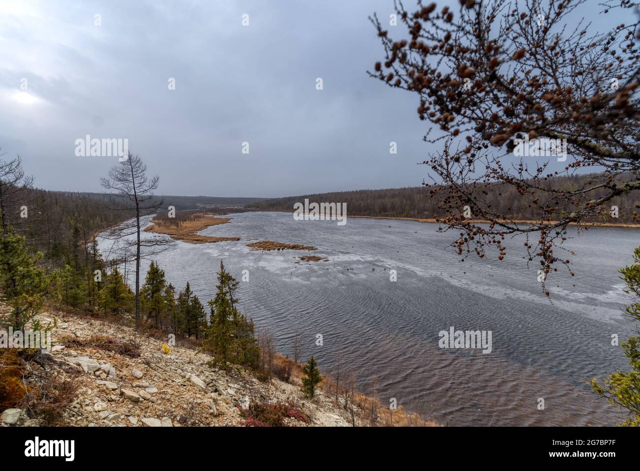 The banks of a wide taiga river. Irelyakh River, Yakutia Russia Stock Photo