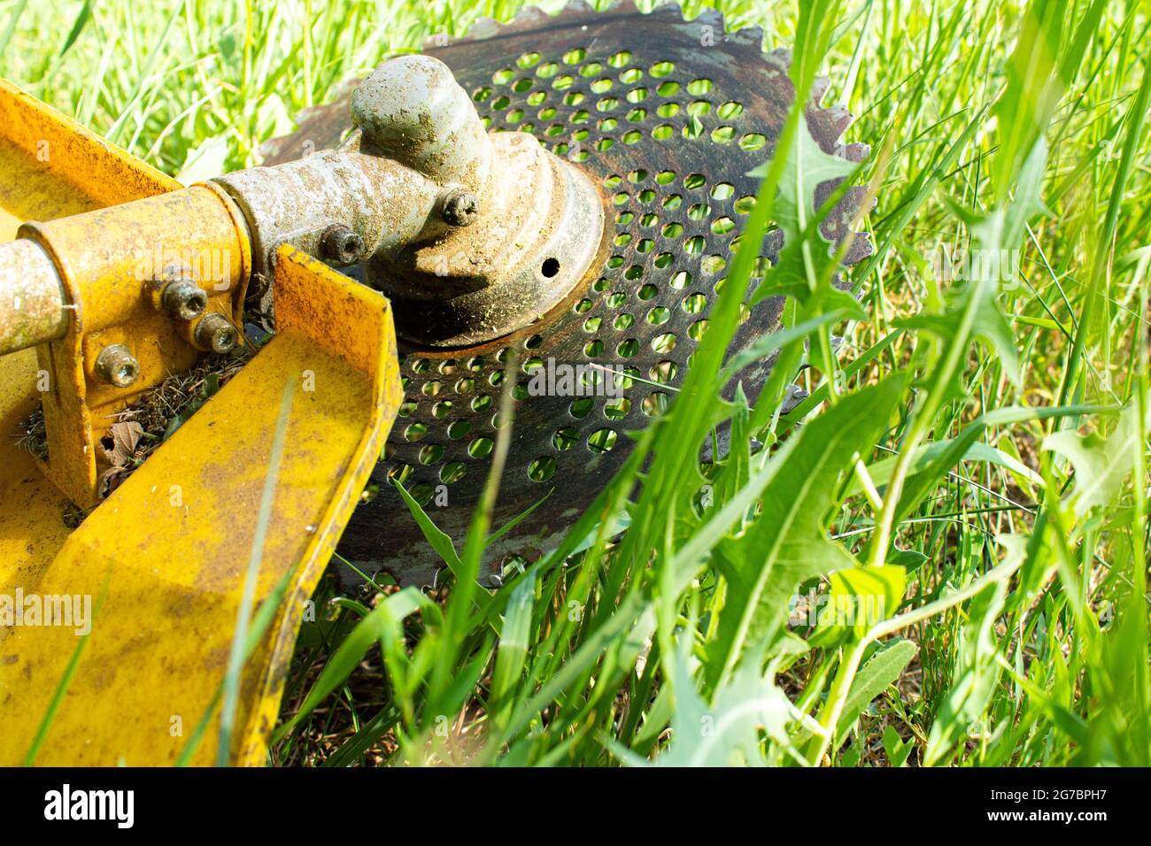 Grass trimmer hires stock photography and images Alamy
