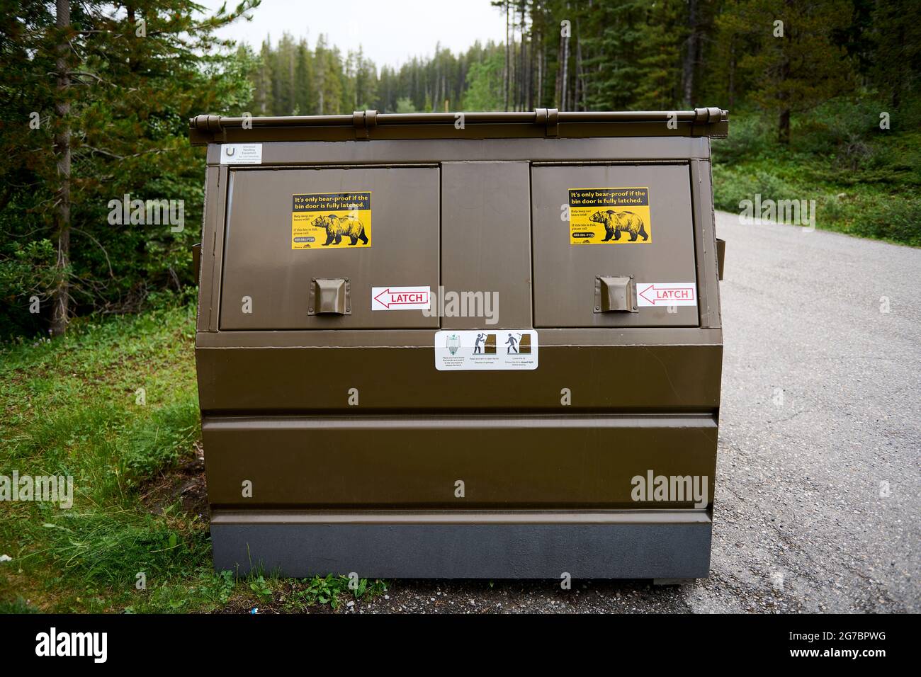Bear at garbage bin hires stock photography and images Alamy